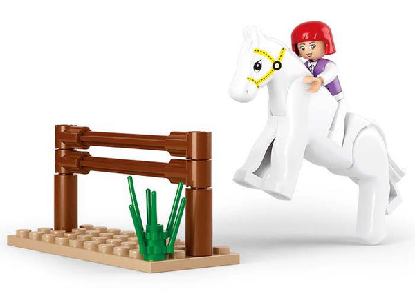 Girl's Dream Equestrian (Small Set) M38-B0517